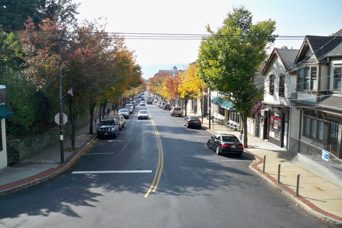 Autumn-colored Trees along street