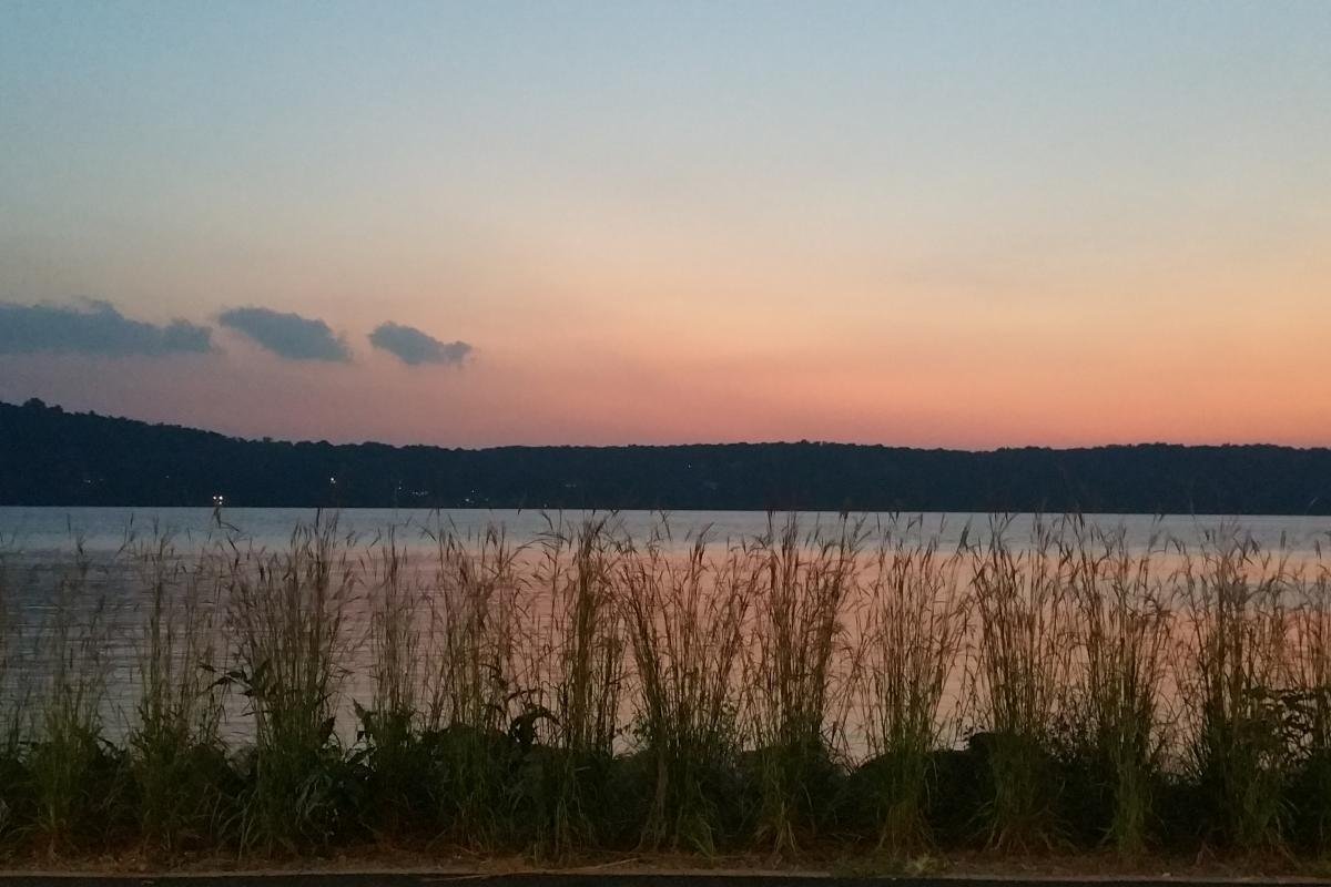 Orange Sunset